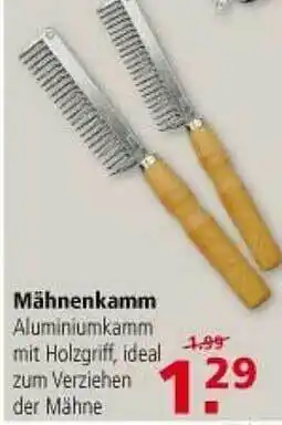 Multi Markt Mähnenkamm Angebot