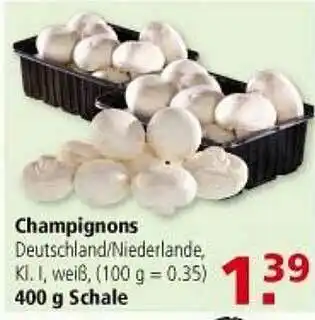 Multi Markt Champignons Angebot