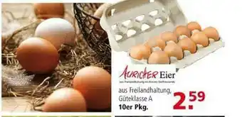 Multi Markt Auricher Eier Angebot