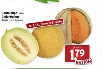 Wasgau Cantaloupe Galia-melone Angebot