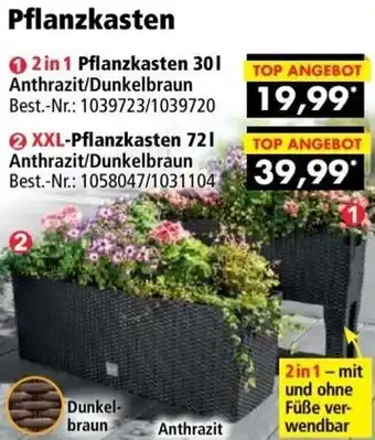 Norma Pflanzkasten Angebot