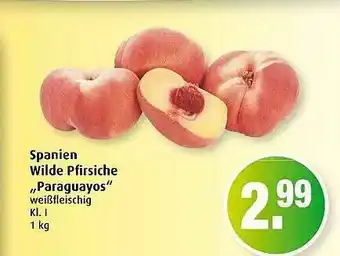 Markant Spanien Wilde Pfirsiche „paraguayos” Angebot