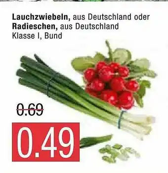 Marktkauf Lauchzwiebeln Oder Radieschen Angebot