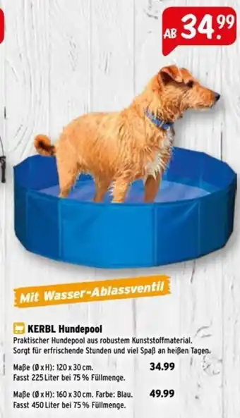 Raiffeisen Markt KERBL Hundepool Angebot