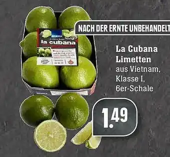 Scheck-in-Center La Cubana Limetten Angebot