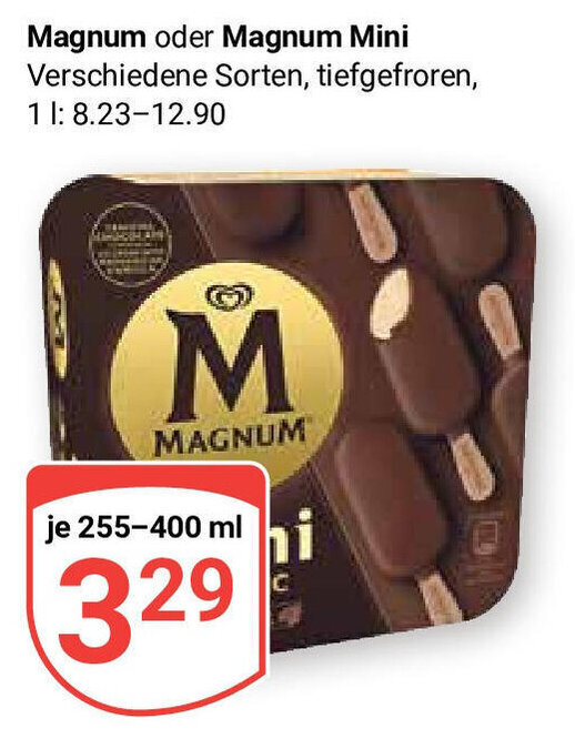 Globus Magnum oder Magnum Mini 255-400ml Angebot