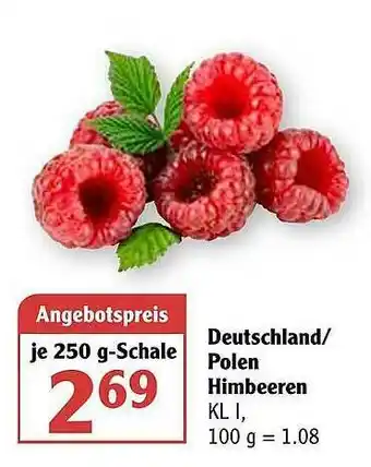 Globus Polen Himbeeren Angebot