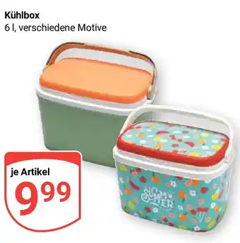 Globus Kühlbox 6L Angebot