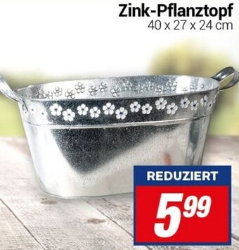 CENTERSHOP Zink-Pflanztopf Angebot