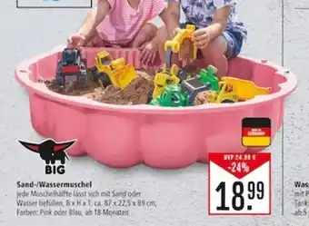 Marktkauf BIG Sand-/Wassermuschel Angebot