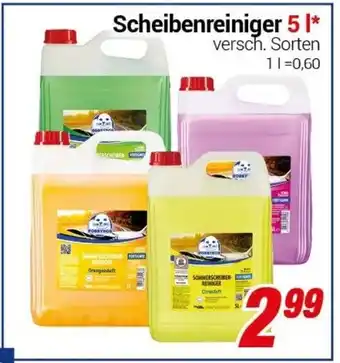 CENTERSHOP Scheibenreiniger 5 l Angebot