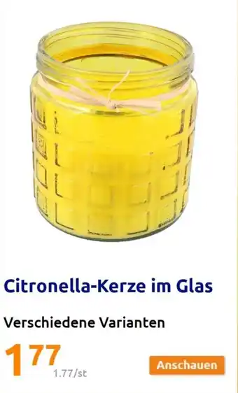 Action Citronella-Kerze im Glas Angebot