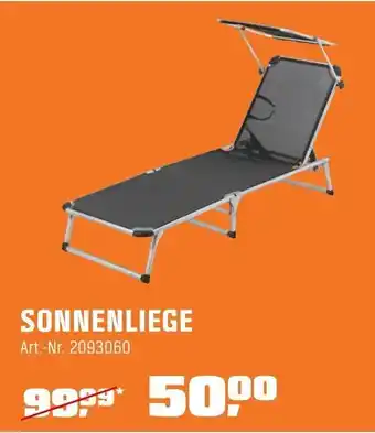 OBI SONNENLIEGE Angebot