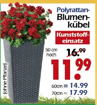 Wreesmann Polyrattan Blumenkübel Angebot