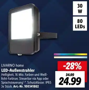 Lidl LIVARNO home LED-Außenstrahler Angebot