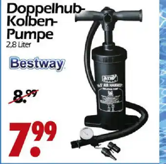 Wreesmann Bestway Doppelhub Kolben Pumpe Angebot