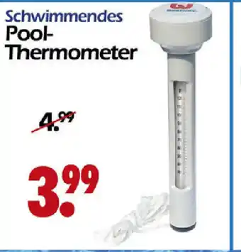 Wreesmann Schwimmendes Pool Thermometer Angebot