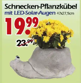 Wreesmann Schnecken Pflanzkübel mit LED Solar Augen Angebot