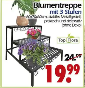 Wreesmann Blumentreppe mit 3 Stufen Angebot