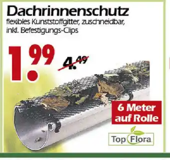 Wreesmann Dachrinnenschutz Angebot