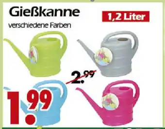 Wreesmann Gießkanne Angebot