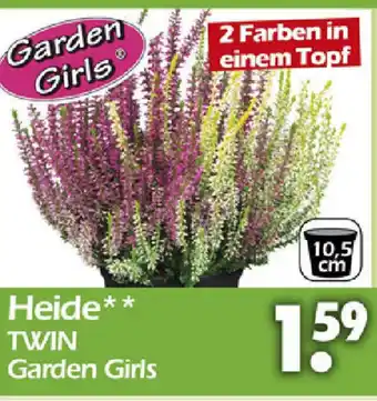 Wreesmann Heide Twin Angebot