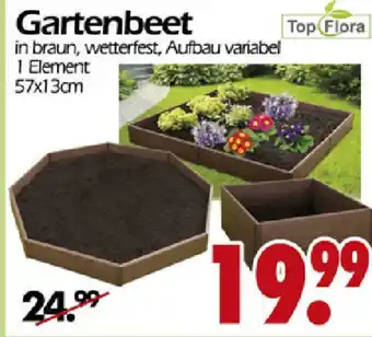 Wreesmann Gartenbeet Angebot