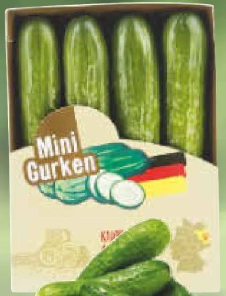Netto Marken-Discount Mini-gurken Angebot