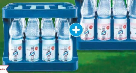 Netto Marken-Discount Mineralwasser Angebot