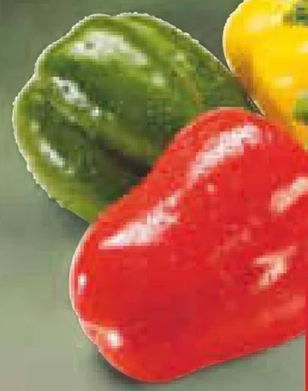 Netto Marken-Discount Paprika-mix Angebot
