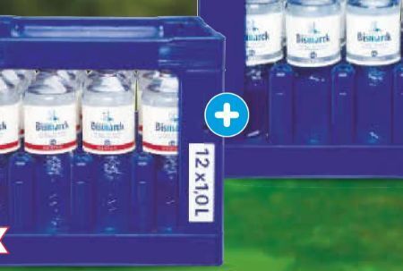 Netto Marken-Discount Mineralwasser Angebot