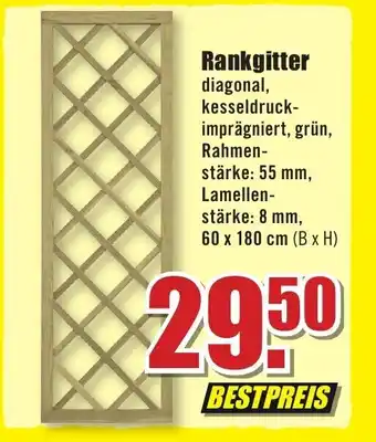 B1 Discount Baumarkt Rankgitter Angebot