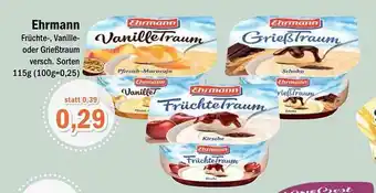 Aktiv Irma Ehrmann Angebot