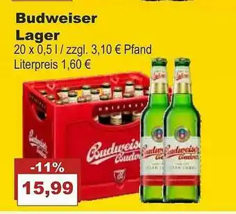 Bilgro Budweiser Lager Angebot