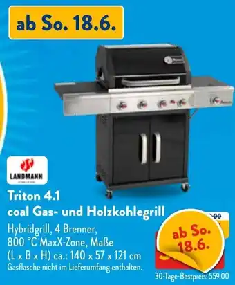 Aldi Süd LANDMANN Triton 4.1 coal Gas- und Holzkohlegrill Angebot