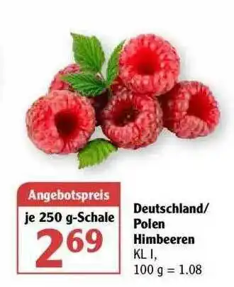 Globus Deutschland Polen Himbeeren Angebot