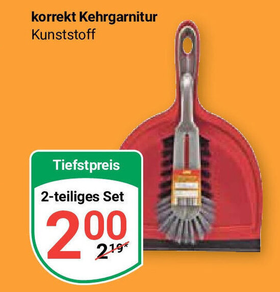 Globus korrekt Kehrgarnitur Kunststoff 2-teiliges Set Angebot