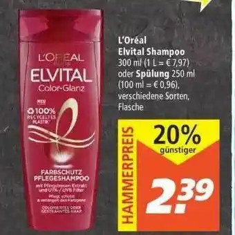 Marktkauf L'oréal Elvital Shampoo Oder Spülung Angebot