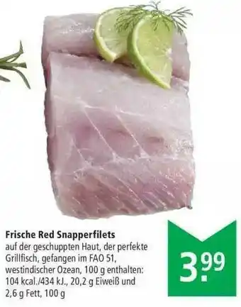 Marktkauf Frische Red Snapperfilets Angebot