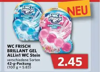 Combi Wc Frisch Brillant Gel Allin1 Wc Stein Angebot