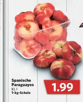 Combi Spanische Paraguayos Angebot