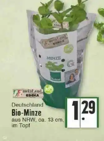 Edeka Bio-minze Angebot