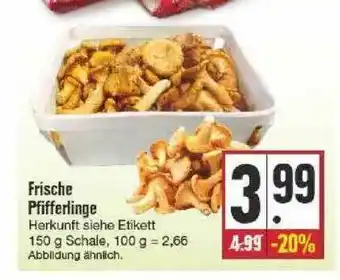 Edeka Frische Pfifferlinge Angebot