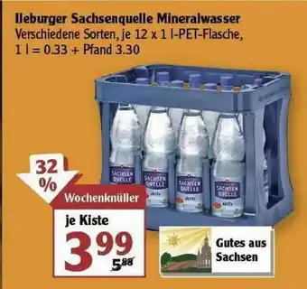 Globus Ileburger Sachsenquelle Minerawasser Angebot