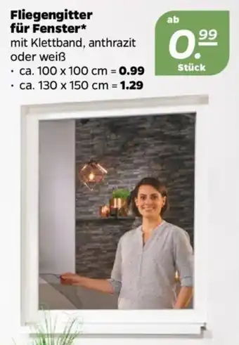 NETTO Fliegengitter für Fenster* Angebot