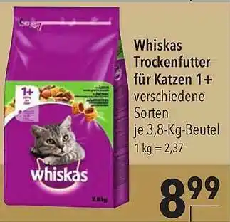 CITTI Markt Whiskas Trockenftter Für Katzen 1+ Angebot