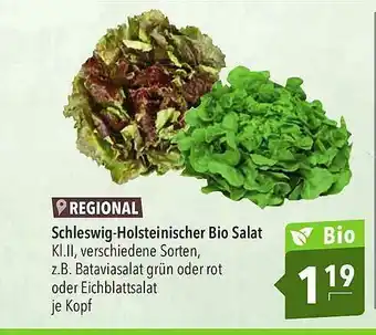 CITTI Markt Schleswig-holsteinischer Bio Salat Angebot