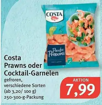 Feneberg Costa Prawns Oder Cocktail-garnelen Angebot