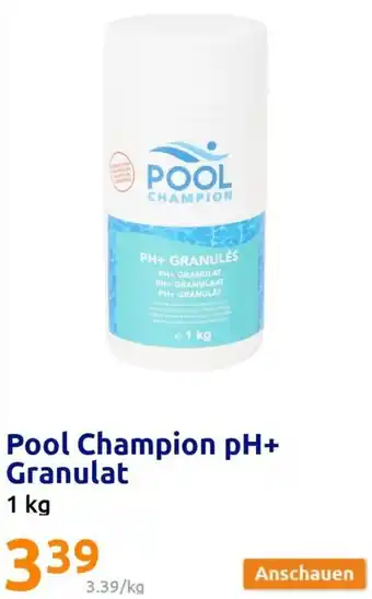 Action Pool Champion pH+ Granulat 1 kg Angebot