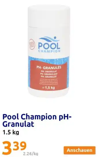 Action Pool Champion pH+ Granulat 1.5 kg Angebot